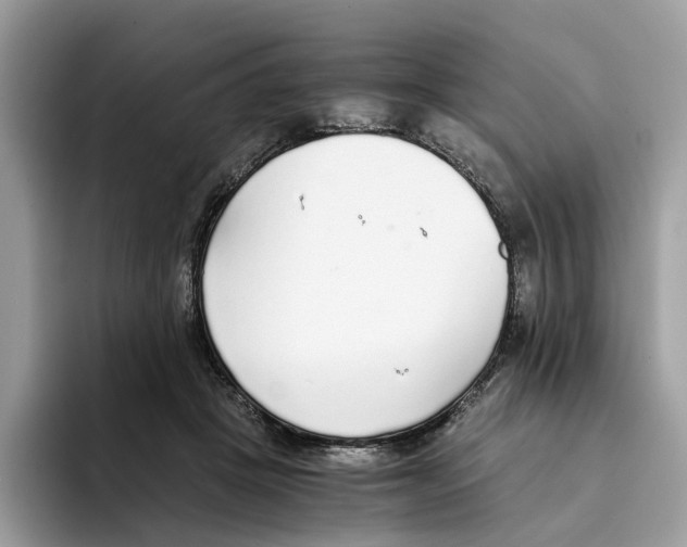 X0000094320457200711301212