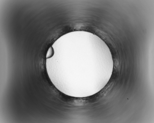 X0000094320470200711301212