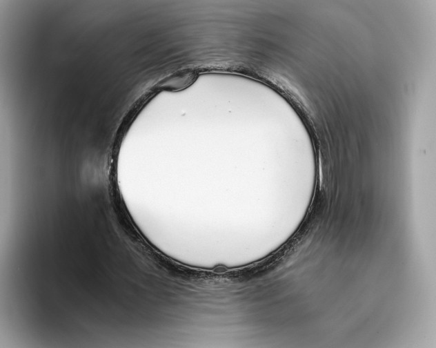 X0000094320483200711301211