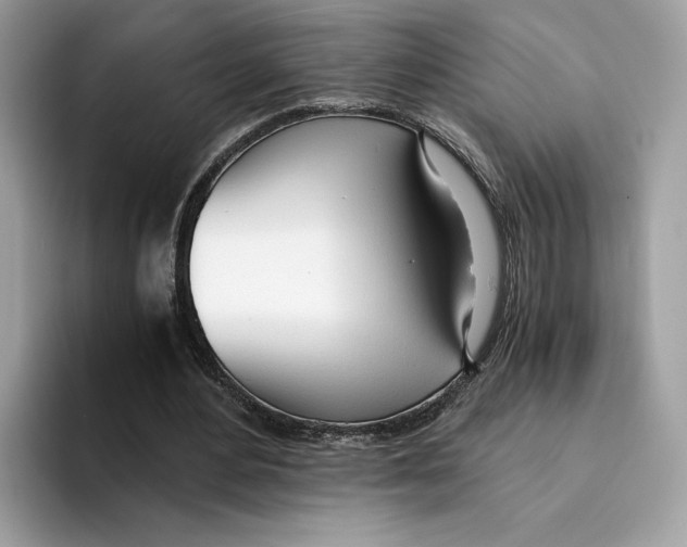 X0000094320484200711301211