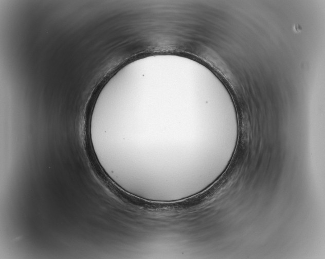 X0000094320485200711301211