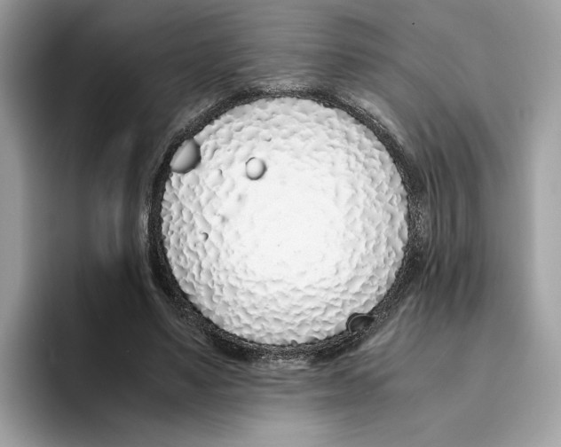 X0000094320491200711301211