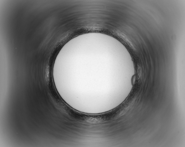 X0000094320494200711301211