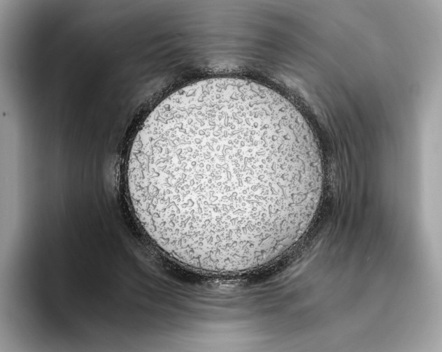 X0000094320495200711301211