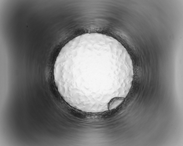 X0000094320499200711301211