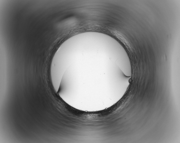 X0000094320501200711301211