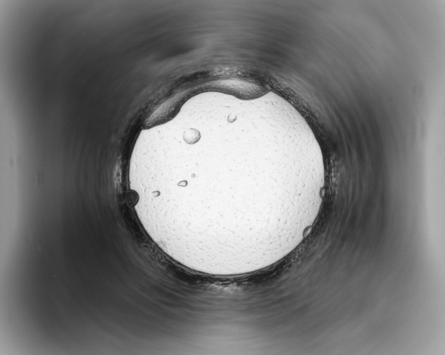 X0000094320502200711301211