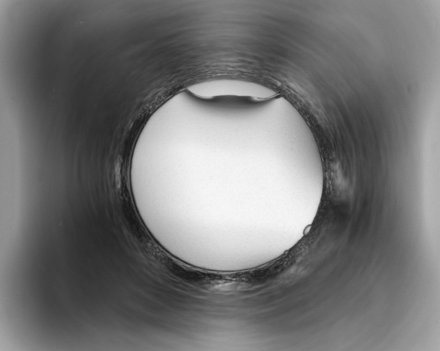 X0000094320504200711301211