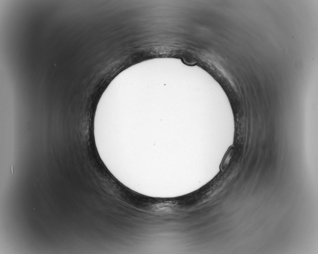 X0000094320505200711301211