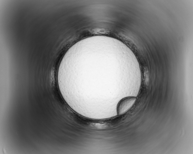 X0000094320506200711301211