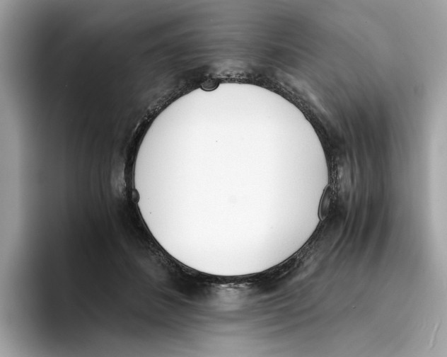 X0000094320508200711301211