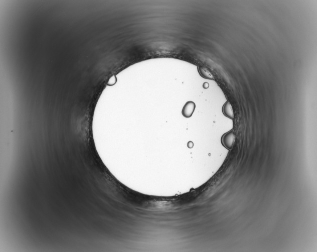 X0000094320509200711301211