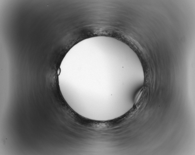 X0000094320513200711301211