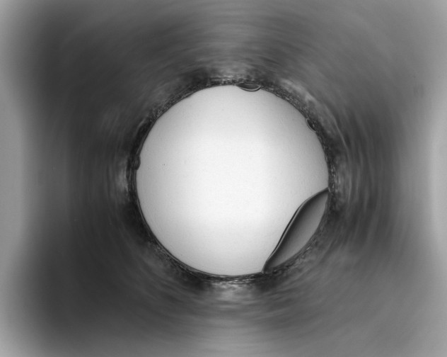 X0000094320516200711301211