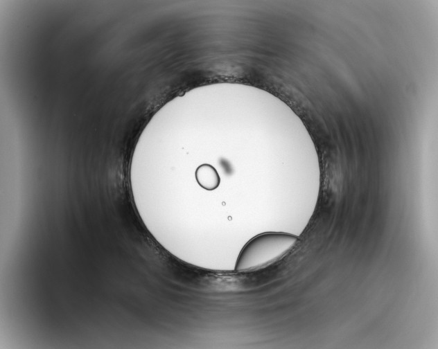 X0000094320518200711301211