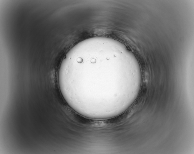 X0000094320519200711301211