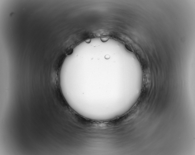 X0000094320523200711301211