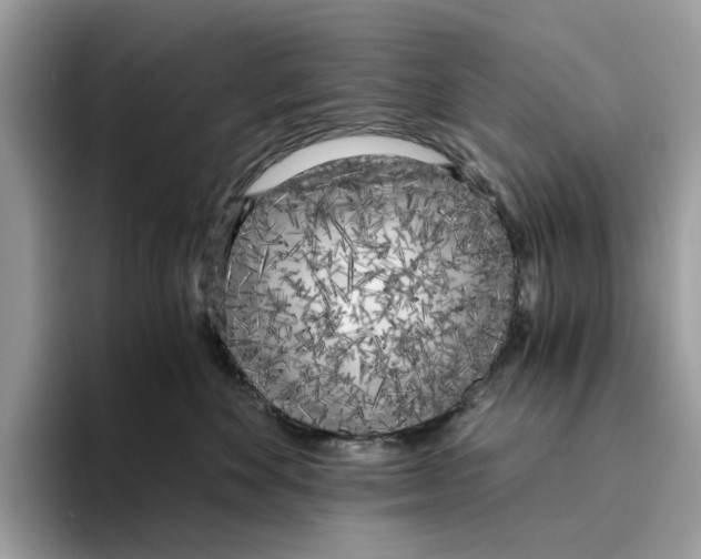 X0000094320524200711301211