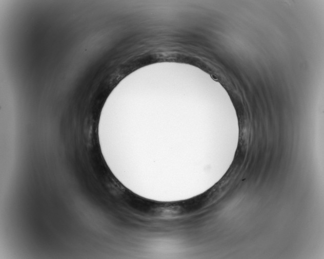 X0000094320525200711301211