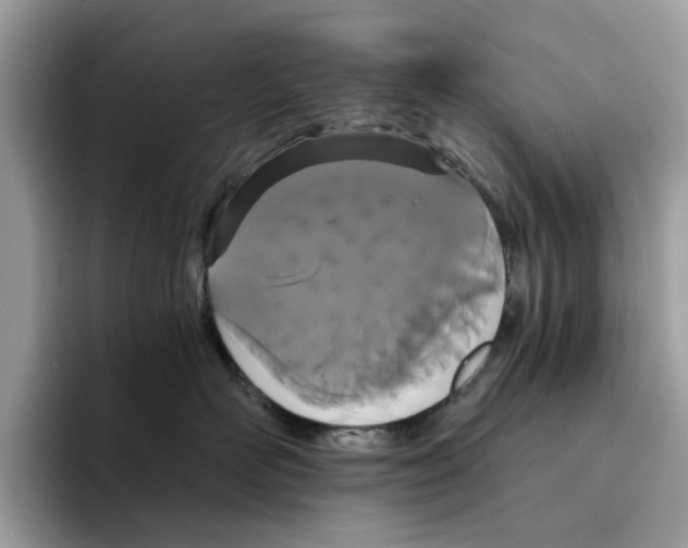 X0000094320526200711301211