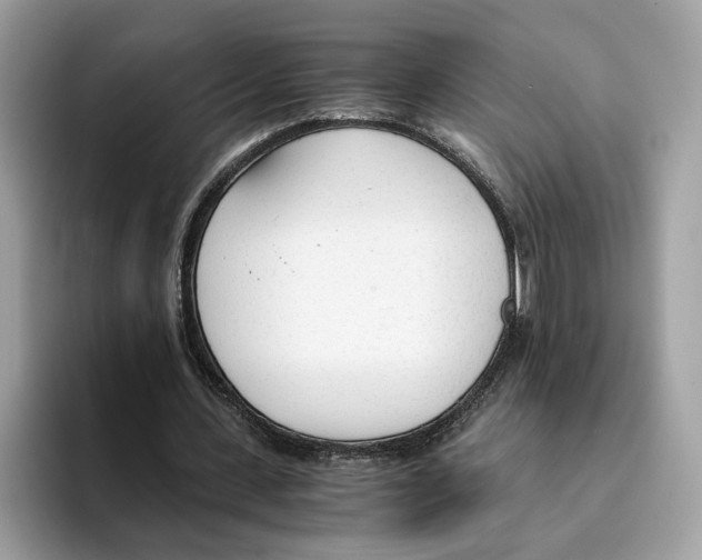 X0000094320531200711301210