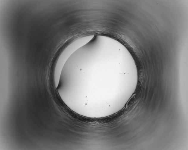 X0000094320544200711301210