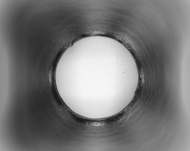 X0000094320546200711301210