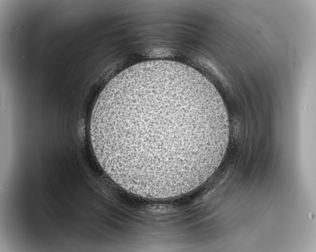 X0000094320549200711301210