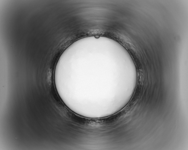 X0000094320550200711301210