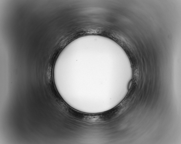 X0000094320554200711301210