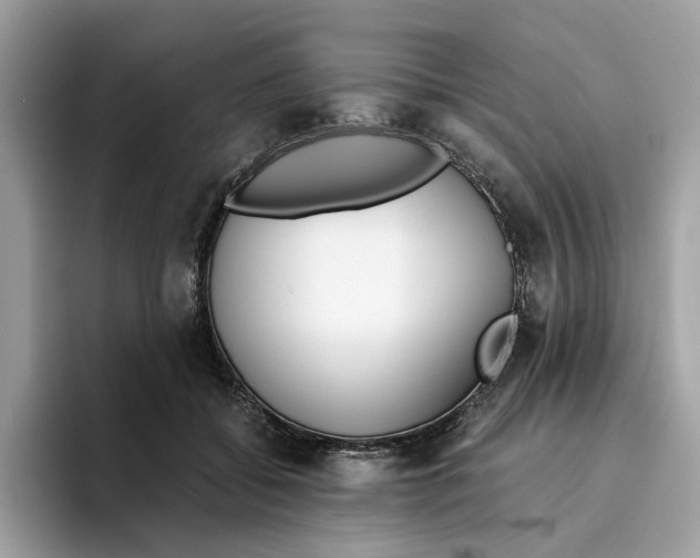 X0000094320556200711301210