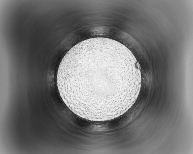 X0000094320557200711301210