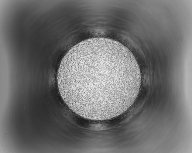 X0000094320561200711301210