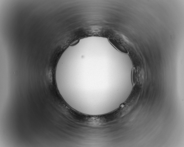 X0000094320562200711301210