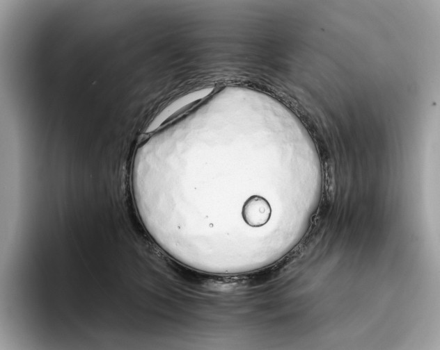 X0000094320563200711301210