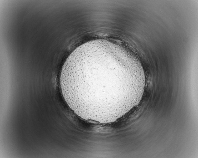 X0000094320568200711301211