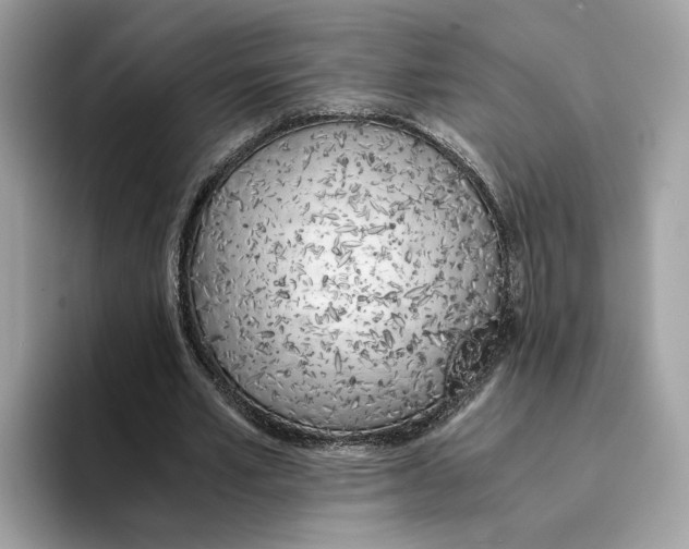 X0000094320581200711301210