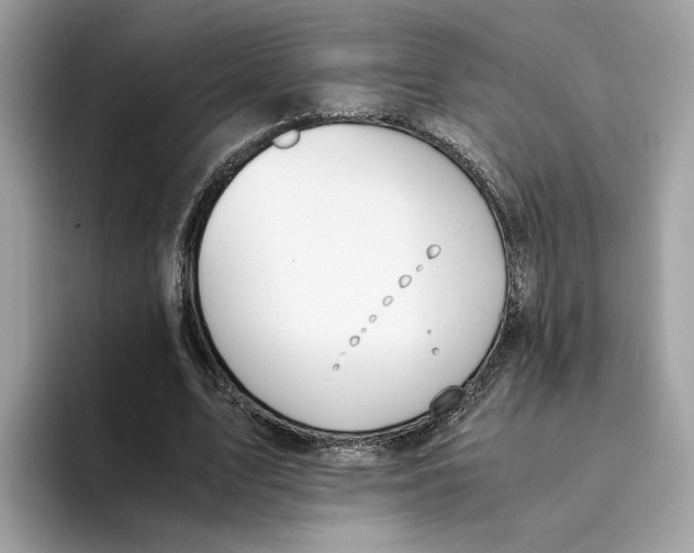 X0000094320583200711301210