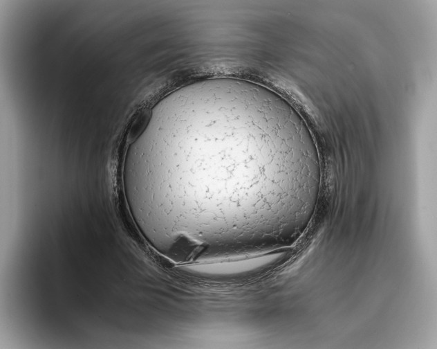 X0000094320585200711301210