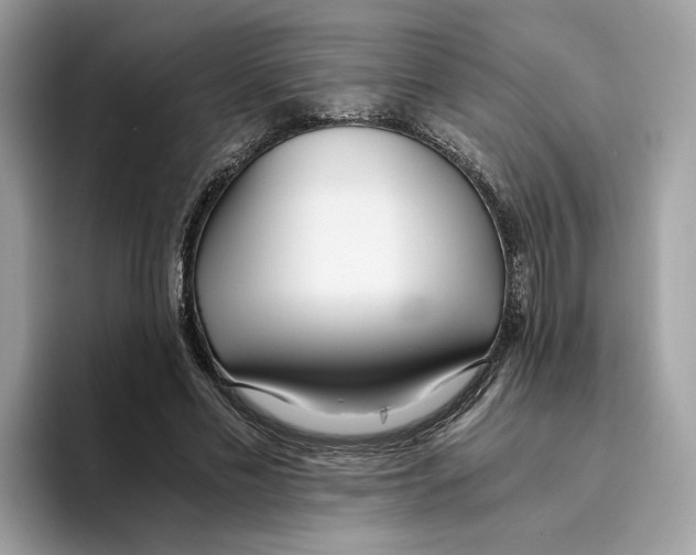 X0000094320589200711301210