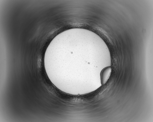 X0000094320596200711301210