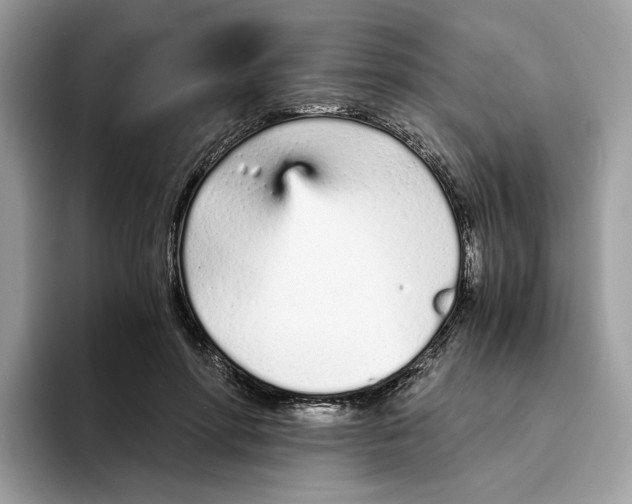 X0000094320598200711301210