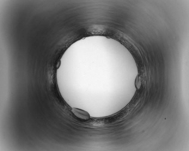 X0000094320604200711301210