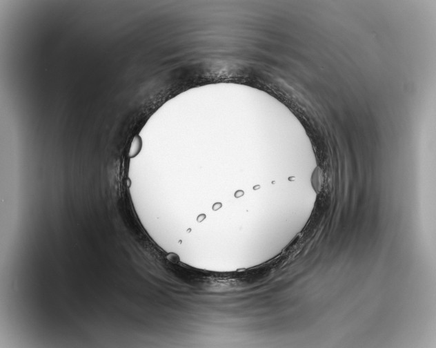 X0000094320605200711301210