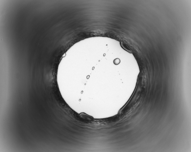 X0000094320608200711301210