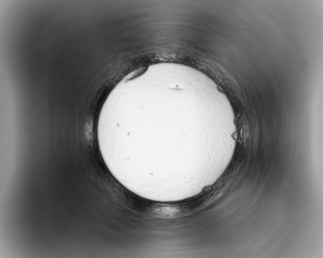 X0000094320610200711301210