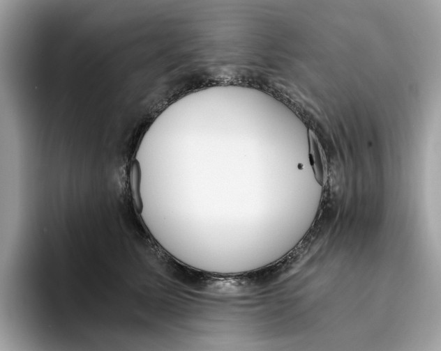 X0000094320611200711301210