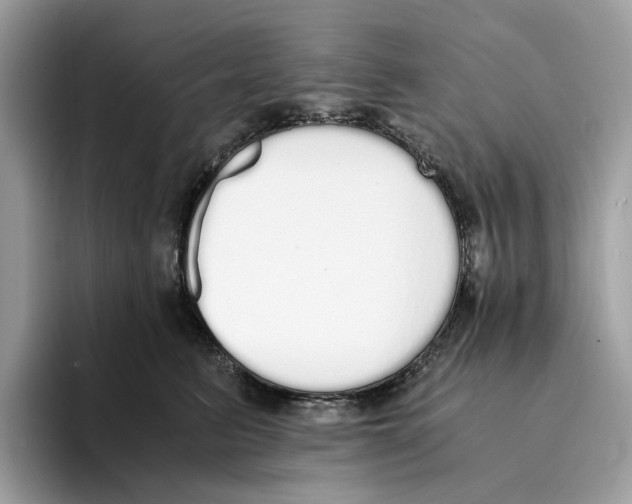 X0000094320615200711301210