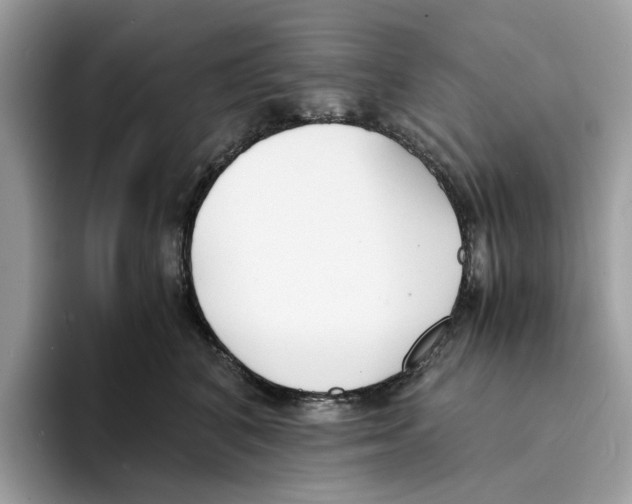 X0000094320616200711301210