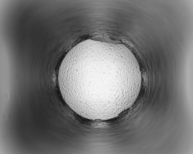 X0000094320617200711301209